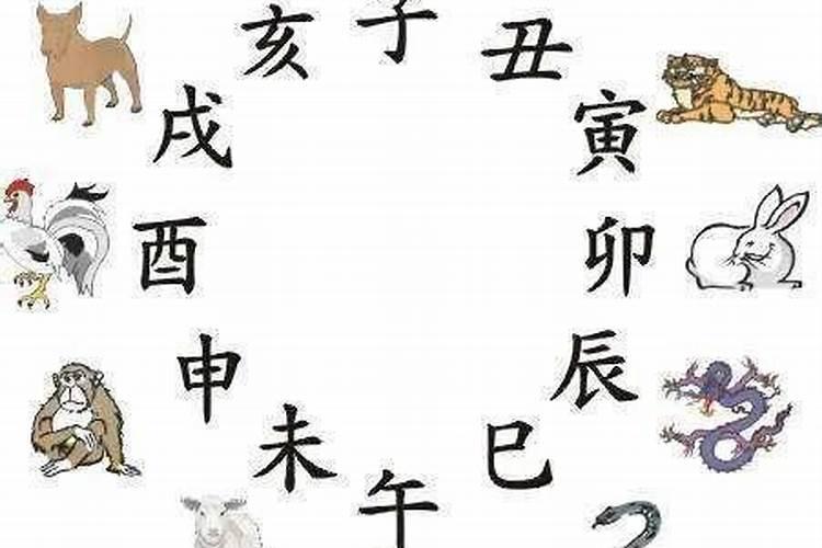 属兔的和属龙的八字合不合