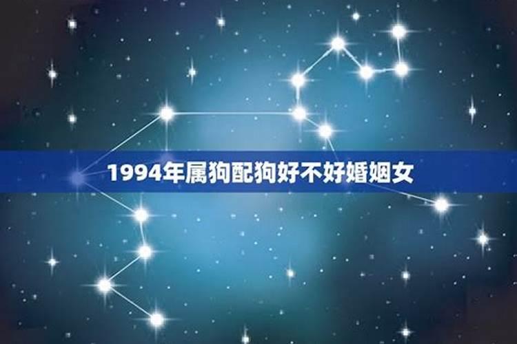 属狗的1994年生好不好