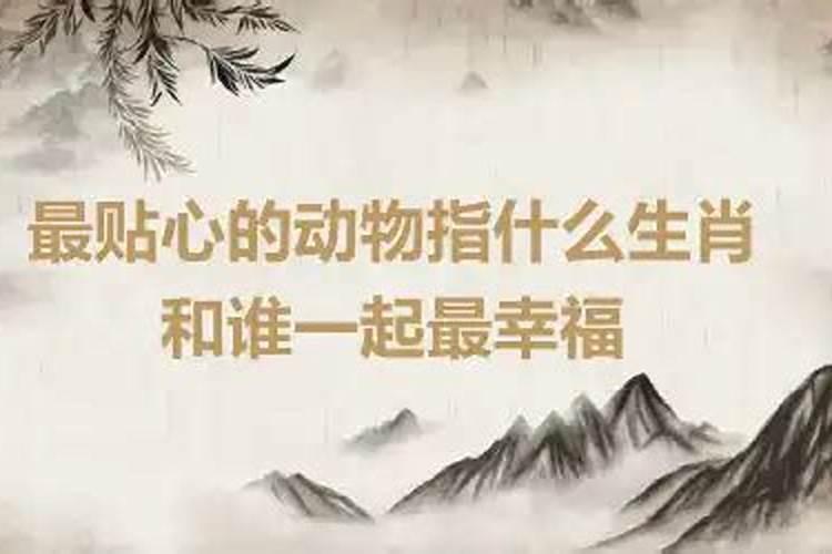 高瞻远瞩指什么生肖