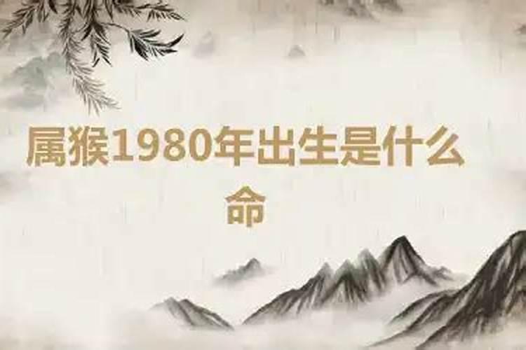 属猴1980年是什么命运