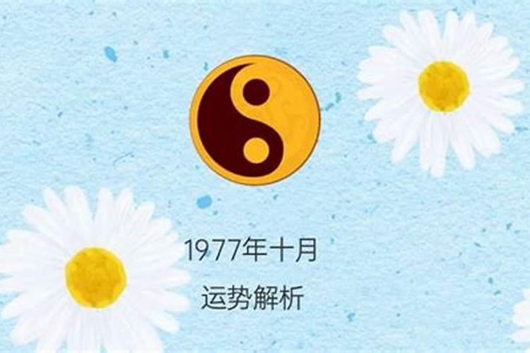 1977年十月初一命运