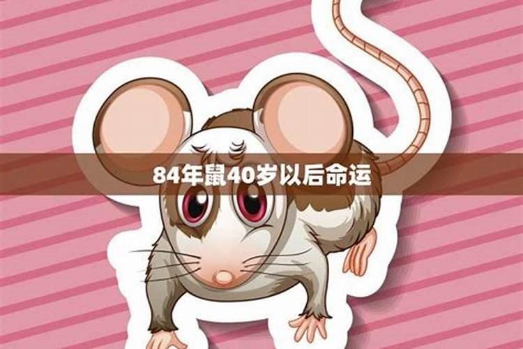 84年鼠人40岁后命运如何