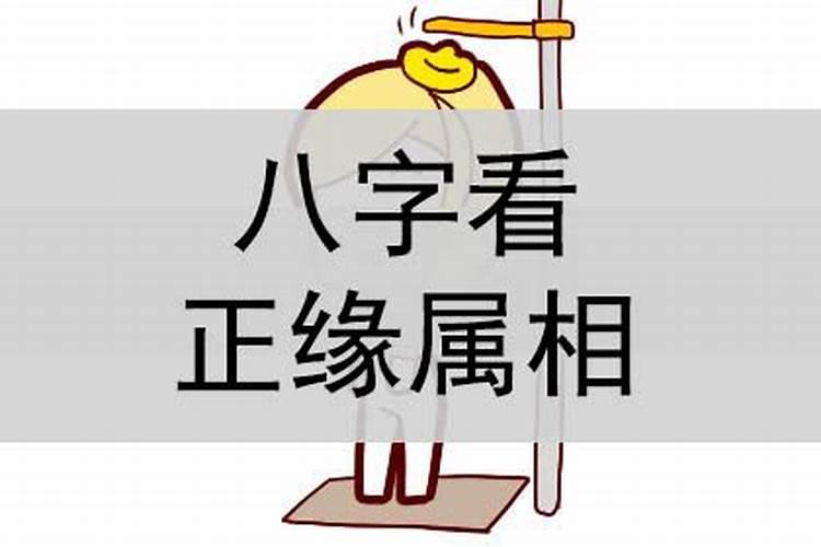 怎么看正缘属相