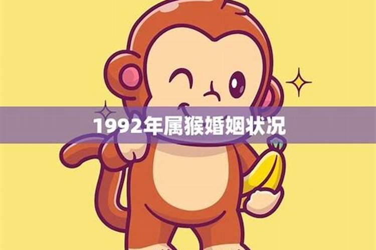 属猴1992年婚姻状况