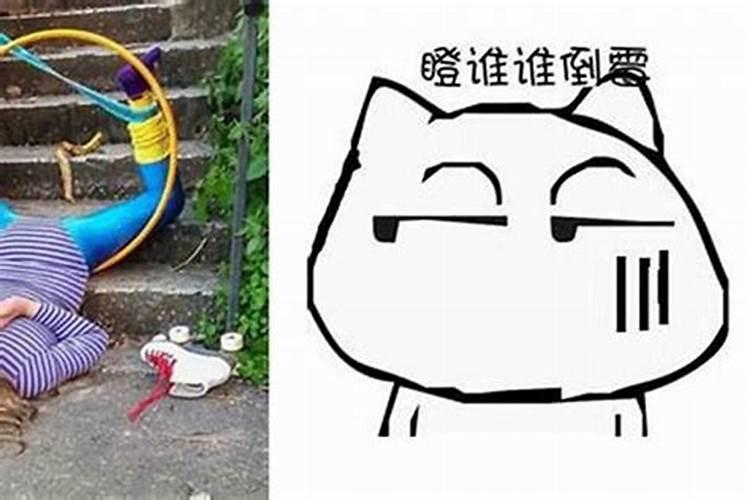 属猪的71年的猪今年命运怎么样