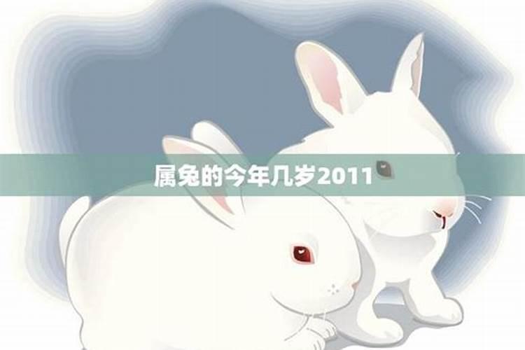 2011年出生属兔的今年几岁