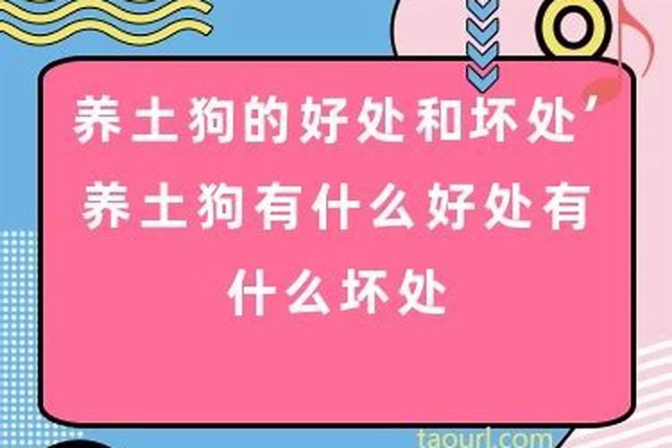 本命年不能登记结婚吗女