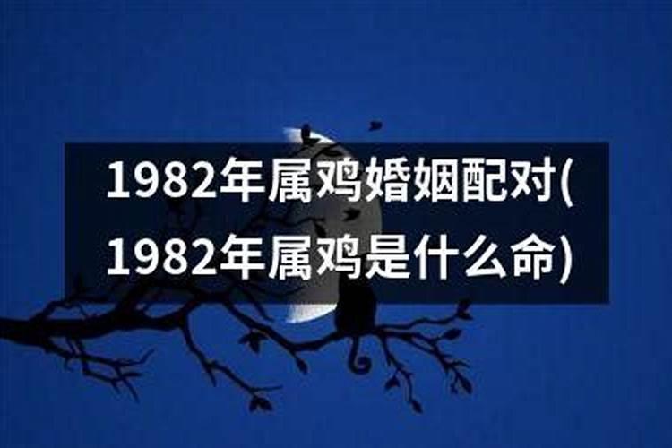 1982年属鸡的人是什么命