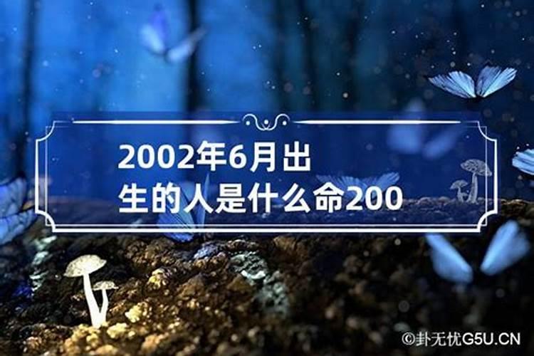 2002年出生的人是什么命格