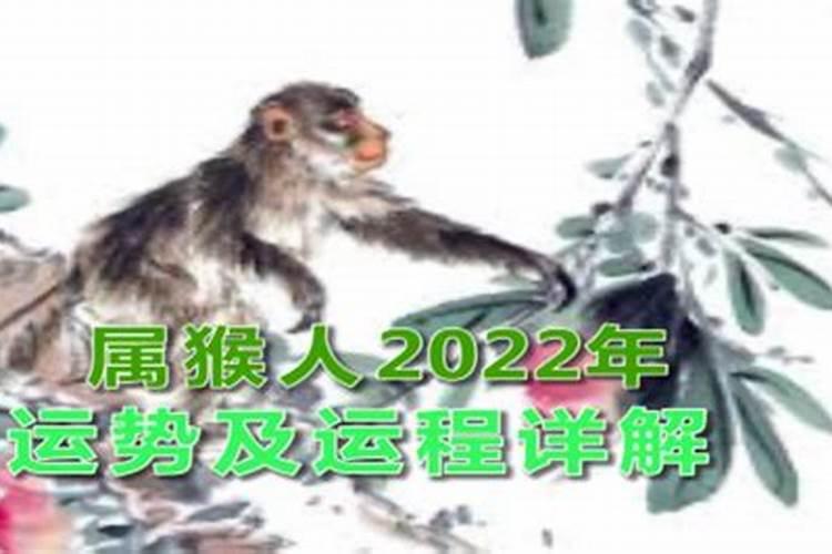 2022猴人全年运势如何