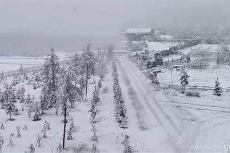 梦见下好大的雪是什么征兆