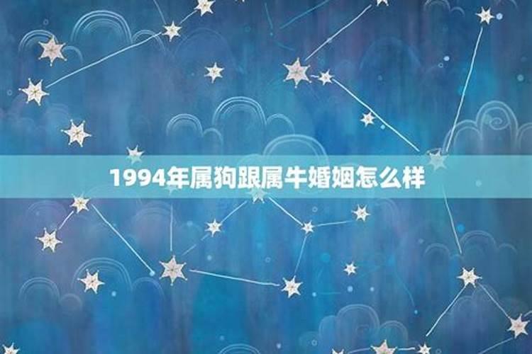 1994年属狗的婚缘怎样