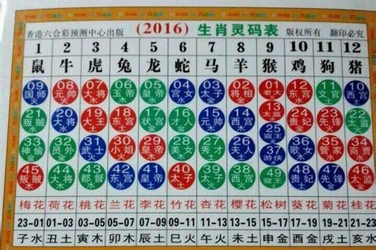 今年龙的生肖数字是多少