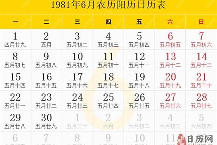 1981年6月生运势怎样