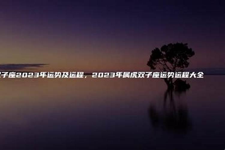 属虎双子座2023事业