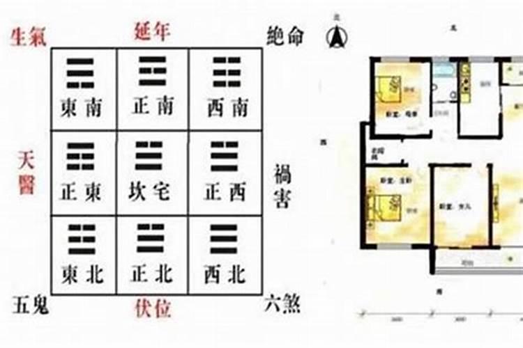 属羊人办公室风水布局