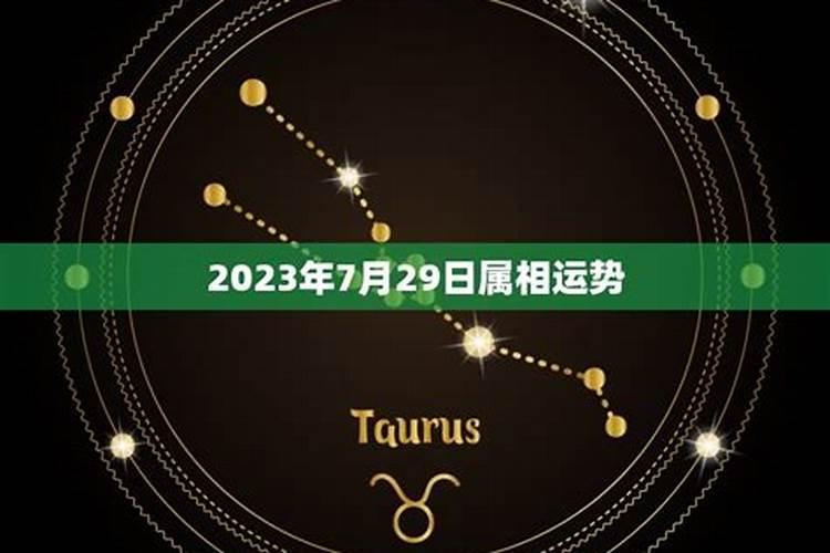 7年属猪男2023年的每月运势