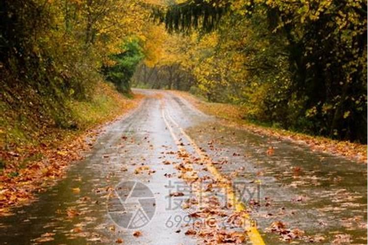 梦见刚下过雨路不好走什么意思