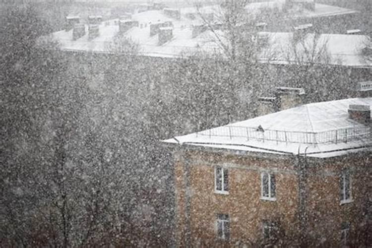 梦见大雪纷飞什么意思