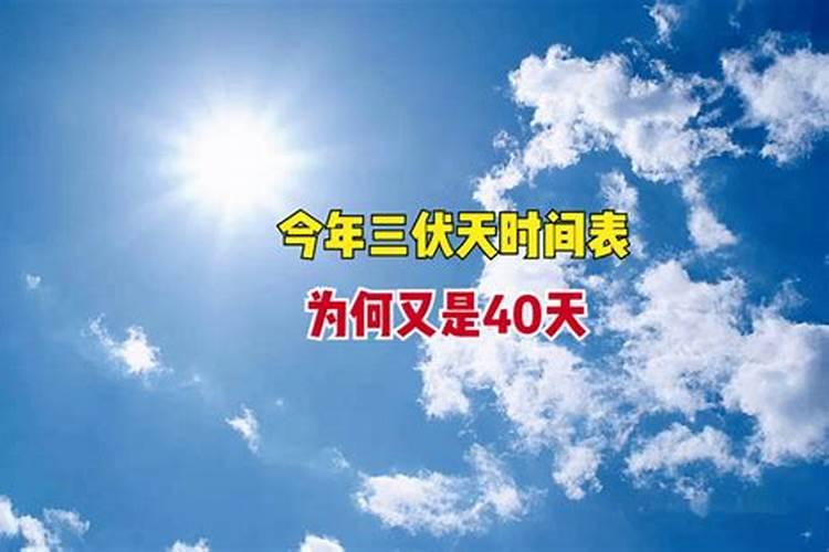 夏至节气应该从几号到几号