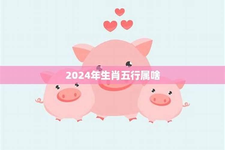 生肖属猪的五行属性是什么