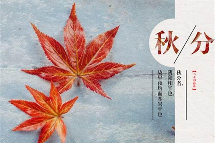 秋分节气的到来代表着什么