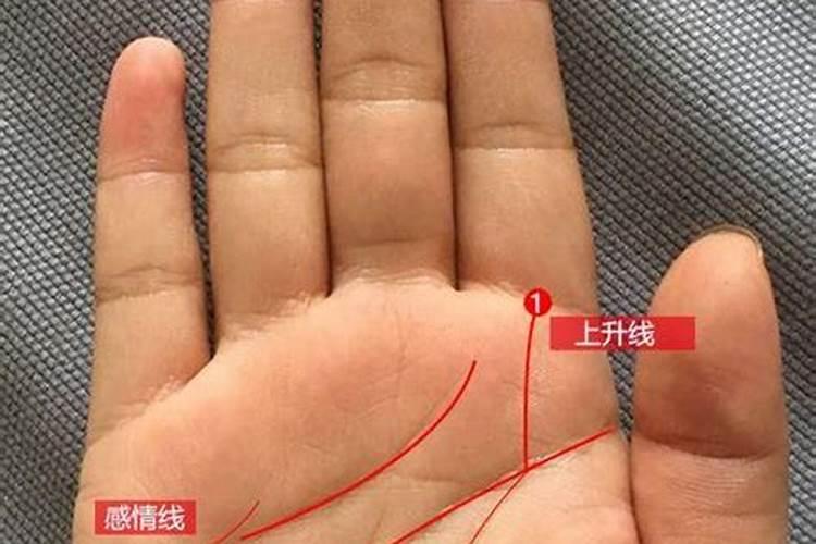 婚姻看缘分是什么意思