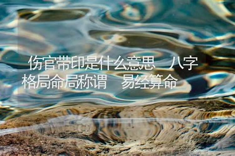 算命伤官运是什么意思