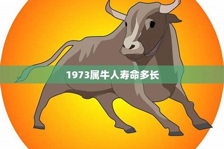 1973属牛人一生运势