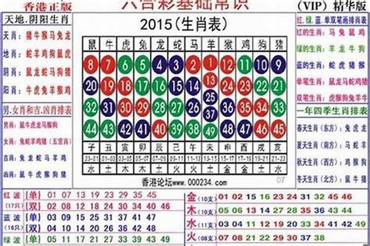 属蛇的2023年运程