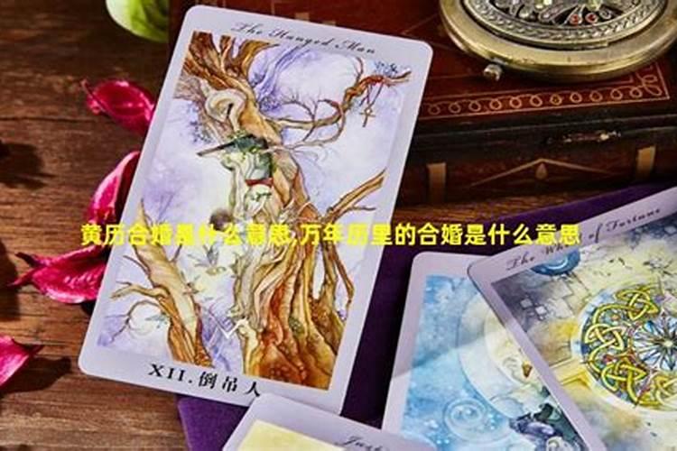 星煞合婚桃花表示什么