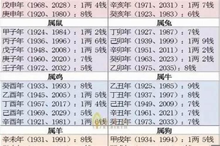 鸽子命是什么意思