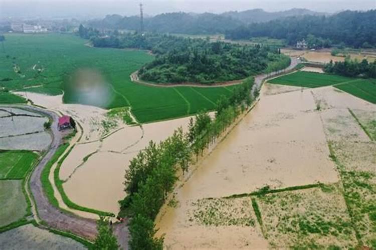 梦见洪水把农田冲了大洞什么意思