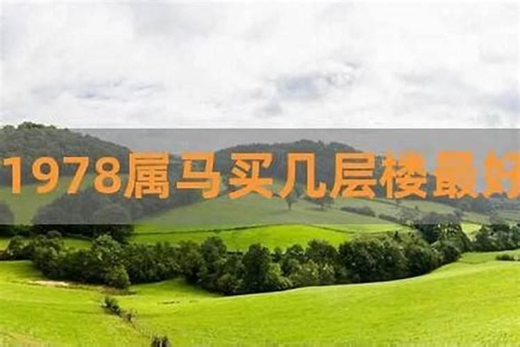 属马住那层楼吉利