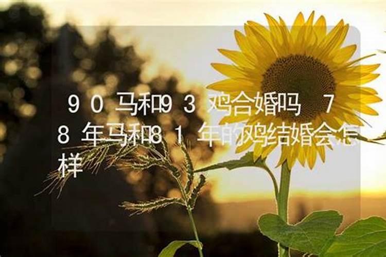 74年和81年的鸡合婚吗