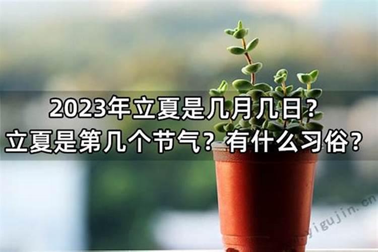 属羊2024年运势十二生肖