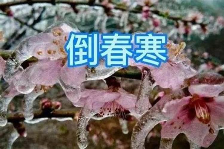 腊月的惊雷预示着什么