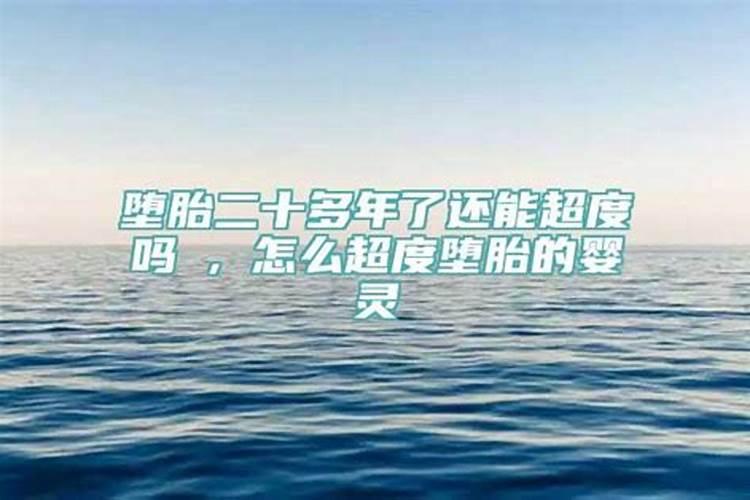 属兔属龙犯太岁怎么破解好