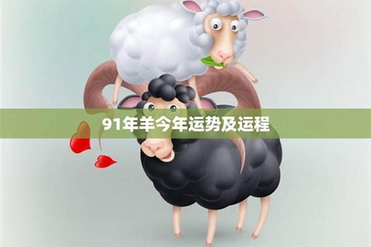 91年羊男今年运势如何