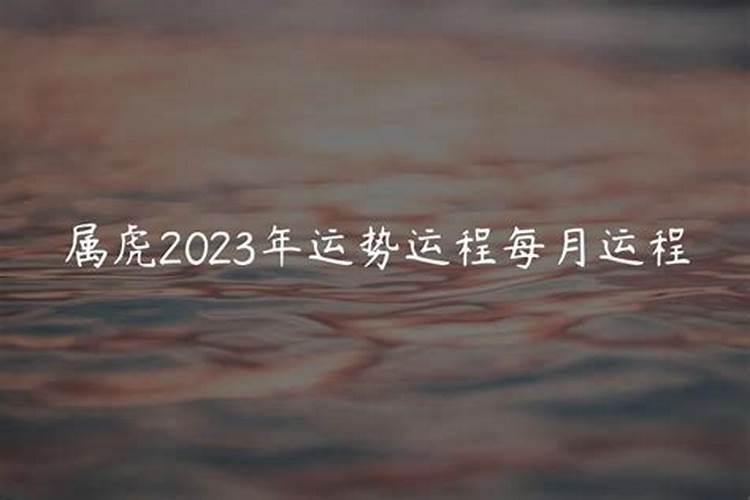 86年2月的虎2023年运势