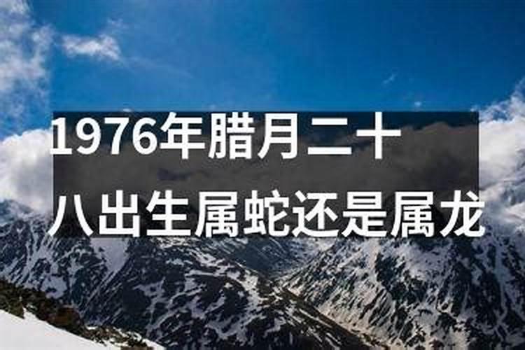 76年农历腊月二十四出生男运程