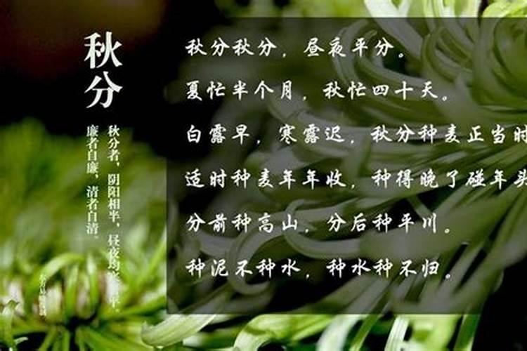 信佛的人用还阴债吗