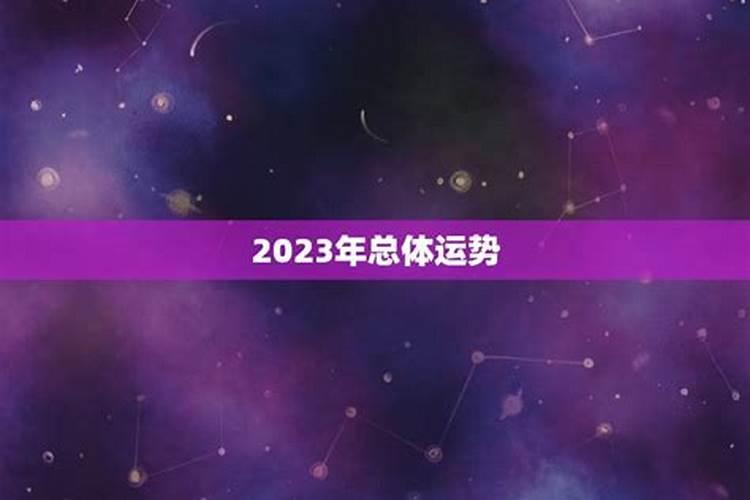 82年出生的人2023年整体运势如何