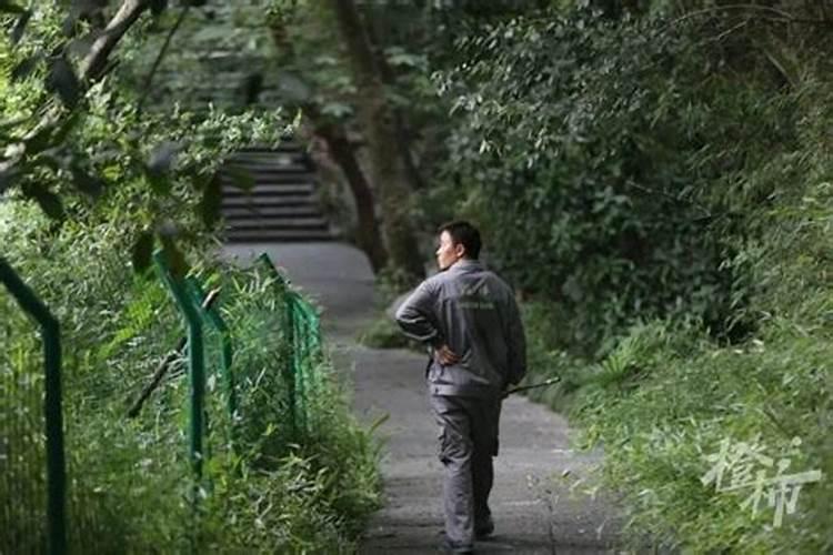 梦见带着孩子去了墓地