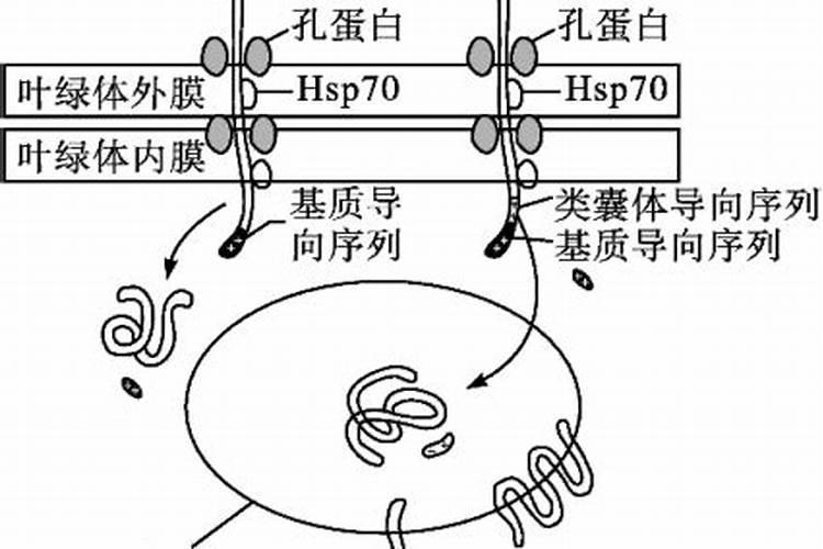 冬至转运说法