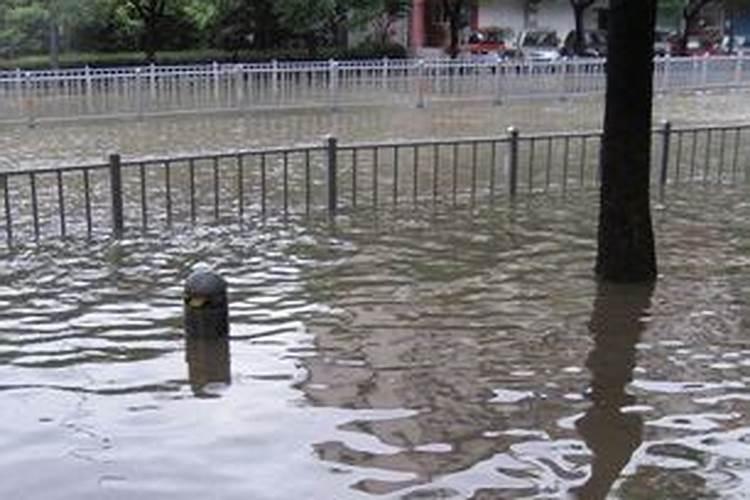 梦见下雨河水涨了