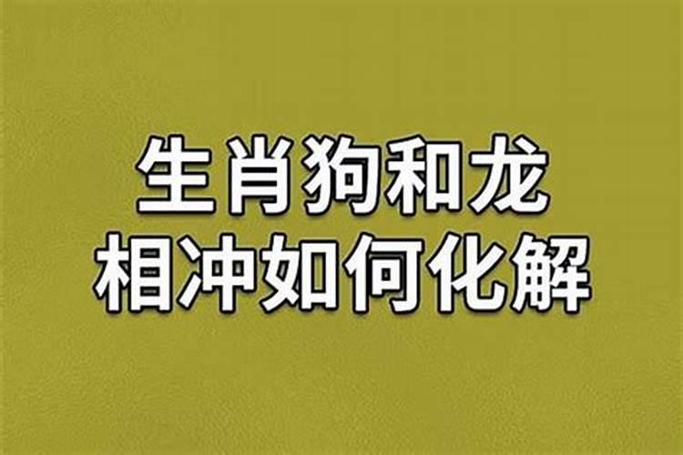 属龙的再属狗年冲太岁怎么化解