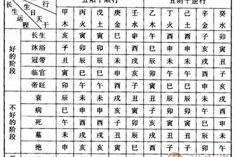 1981年3月初五出生的运程