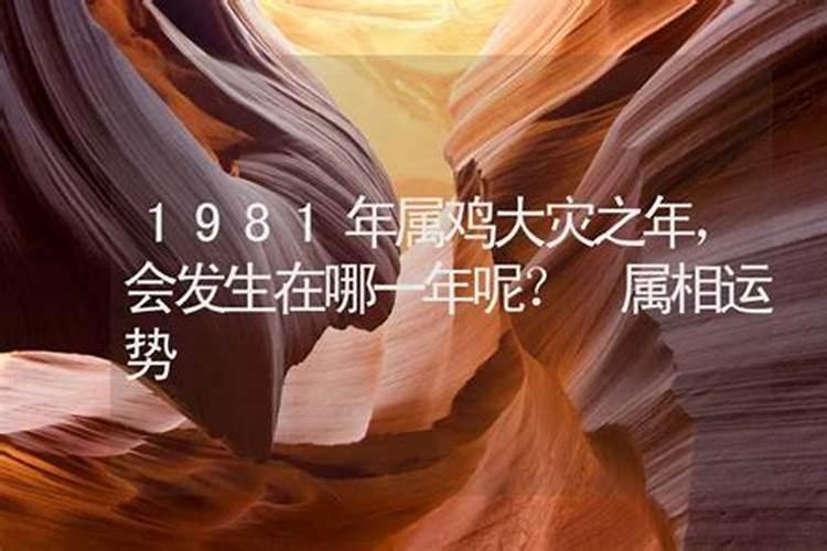 1981年哪年运势特别好呢