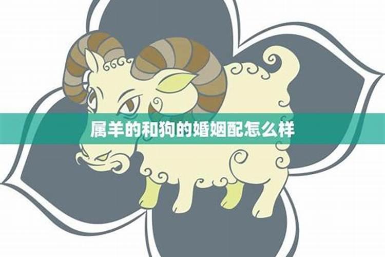 2020犯太岁应该戴什么首饰好